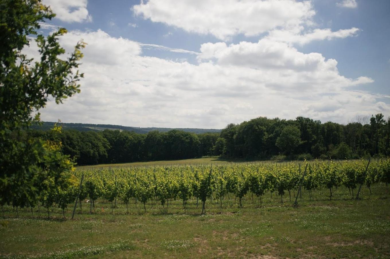 La Petite Maison Blanche Wanze 外观 照片